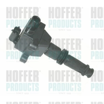 Ignition Coil 8010310