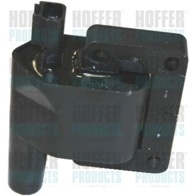 Ignition Coil 8010435