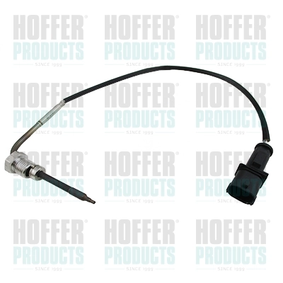 Sensor, exhaust gas temperature 7452148E