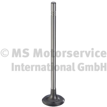 Intake Valve 181124