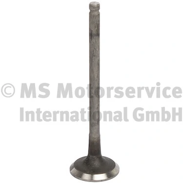Exhaust Valve 769001