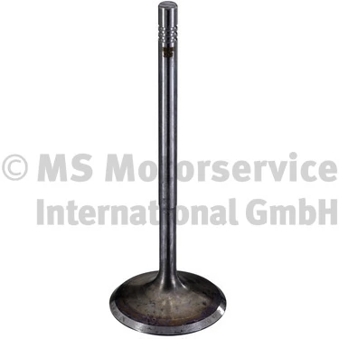 Intake Valve 30900