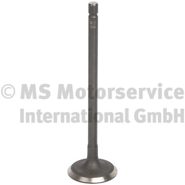 Intake Valve 719000