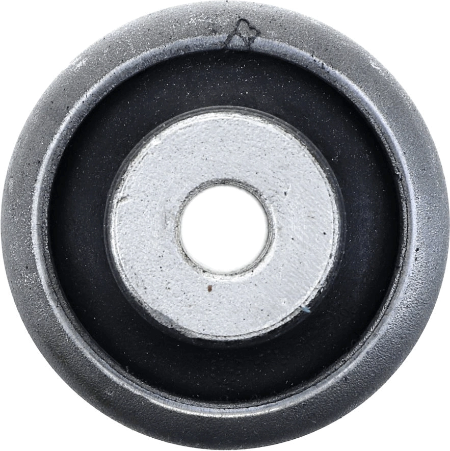 Mounting, control/trailing arm 36300 01