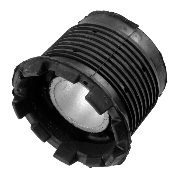 Bushing, axle beam 24597 01