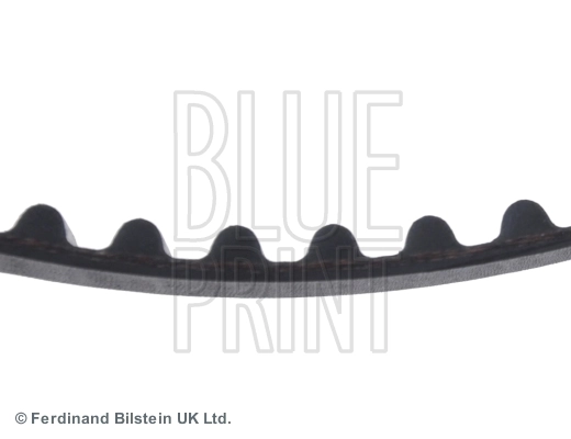 BLUE PRINT ADS77503 Timing Belt
