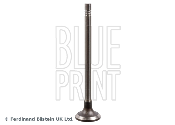 Intake Valve ADBP610034