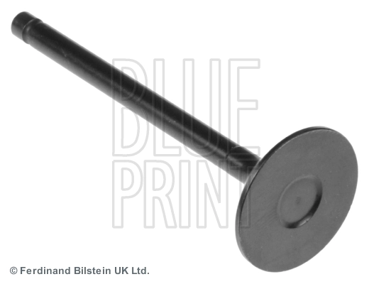 Intake Valve ADU176102