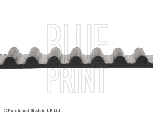 BLUE PRINT ADA107503 Timing Belt