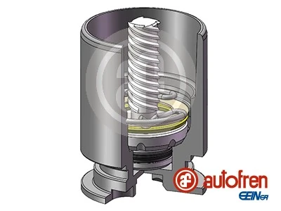 AUTOFREN SEINSA D025777LK Genuine
