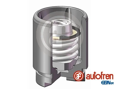 AUTOFREN SEINSA D025319K Genuine
