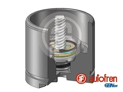 AUTOFREN SEINSA D025256RK Original