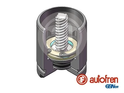 AUTOFREN SEINSA D025529K Asli