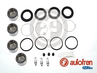 Repair Kit, brake caliper D41181C