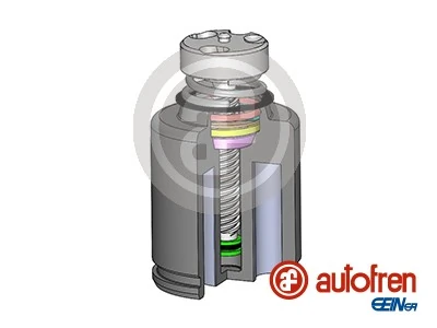 AUTOFREN SEINSA D025234RK أصلي