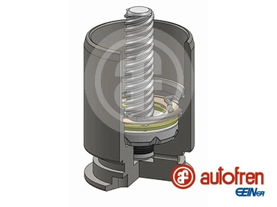 AUTOFREN SEINSA D025363RK Genuine