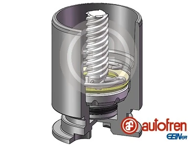 AUTOFREN SEINSA D025777RK Genuine