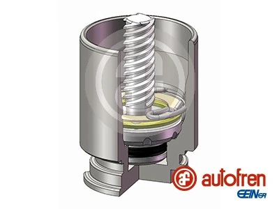AUTOFREN SEINSA D025221K أصلي