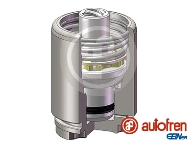 AUTOFREN SEINSA D025729K Genuine