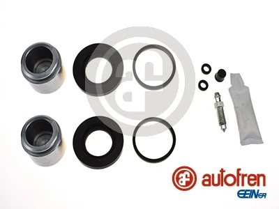 Repair Kit, brake caliper D43096C