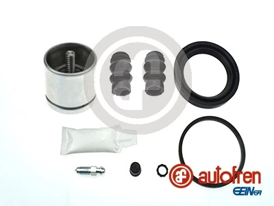 Repair Kit, brake caliper D42171RK