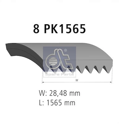 DT Spare Parts 2.15551 V-Ribbed Belt