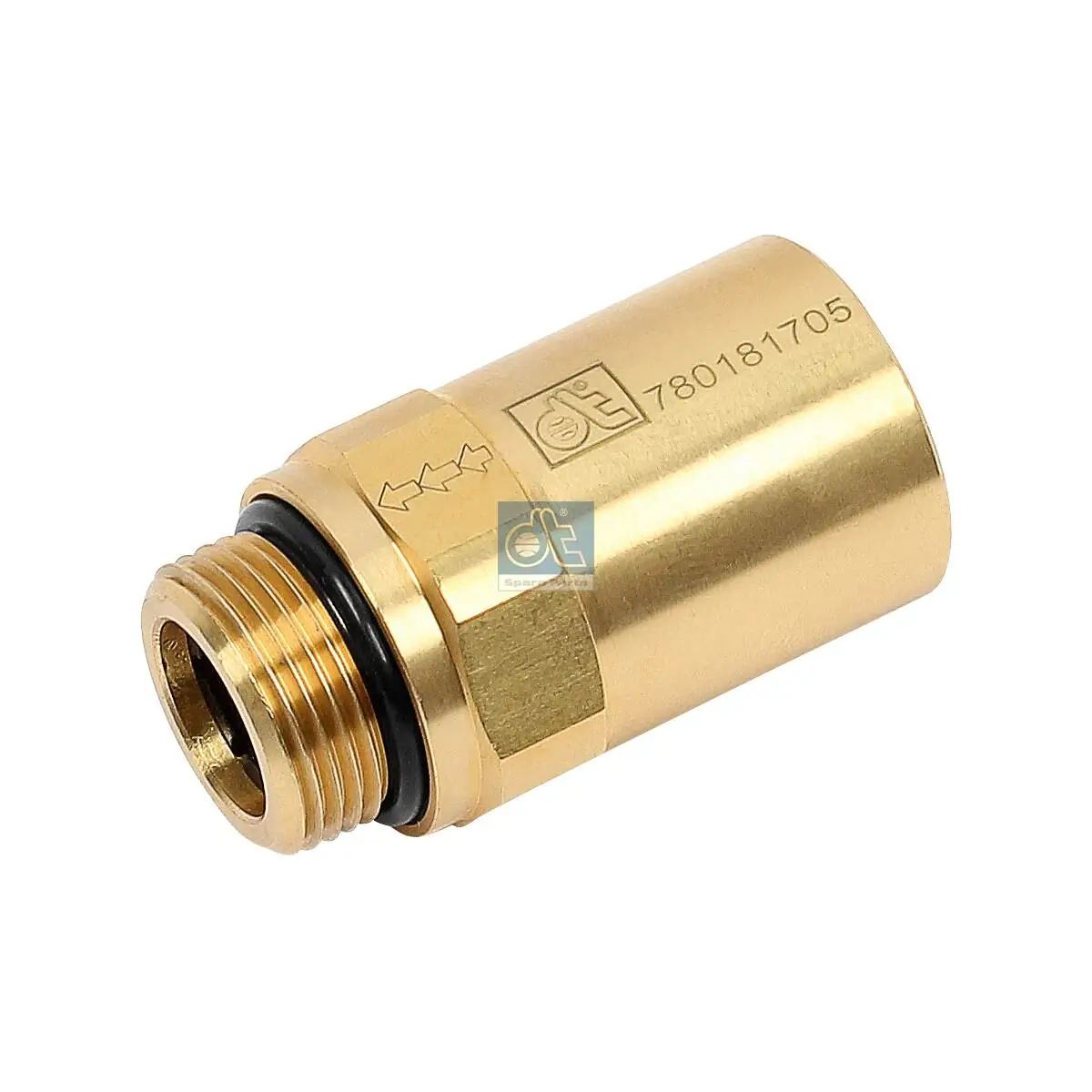 DT Spare Parts 2.44136 Non-Return Valve
