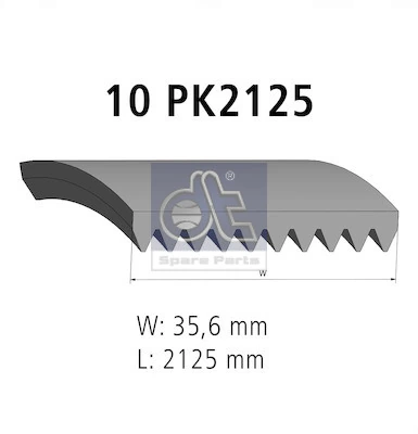 DT Spare Parts 2.15557 V-Ribbed Belt