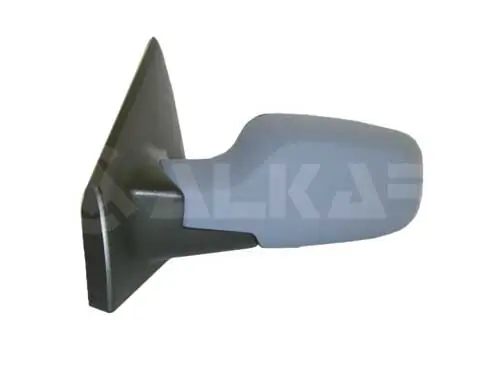 Exterior Mirror 6125175