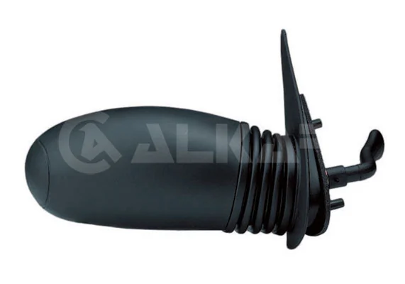 Exterior Mirror 6138011