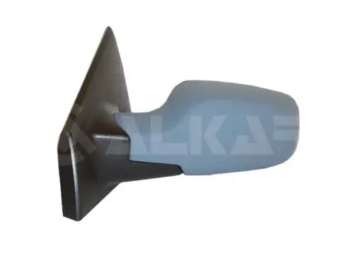 Exterior Mirror 6126175