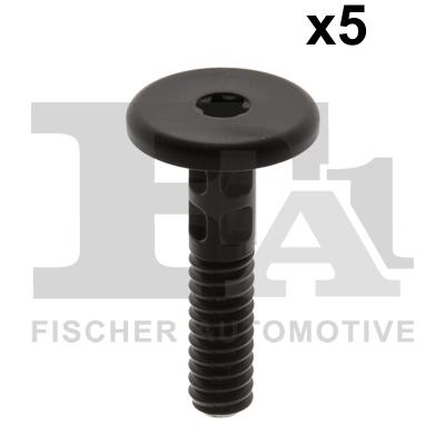 FA1 10-70002.5 Screw