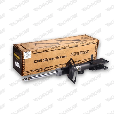 Shock Absorber 72509ST