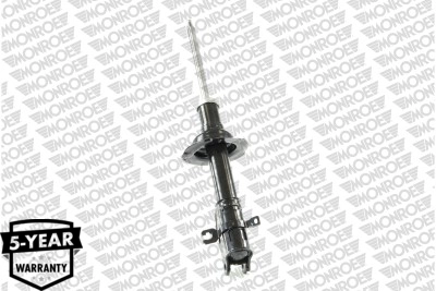 Shock Absorber 72493ST