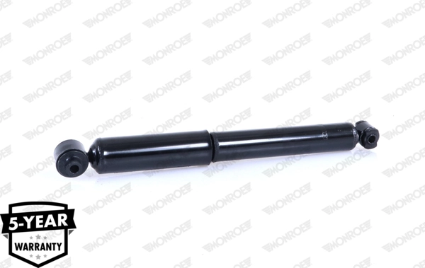 Shock Absorber 5989ST