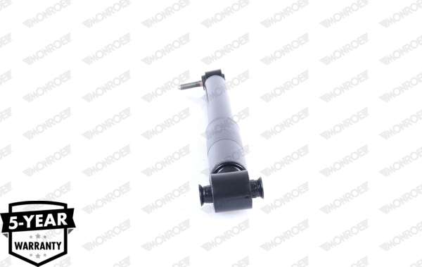 Shock Absorber 376257SP