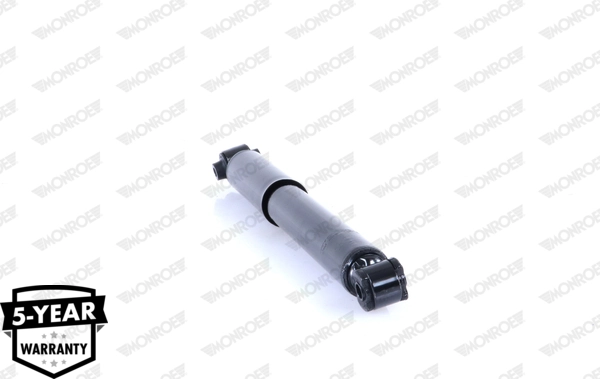 Shock Absorber 5989ST