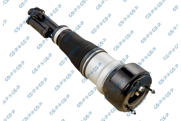Air Suspension Strut 30900332