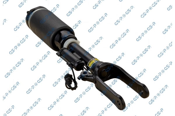 Air Suspension Strut 30900280