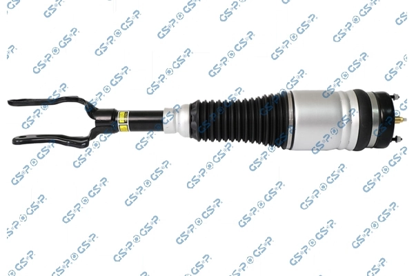 Air Suspension Strut 30900011