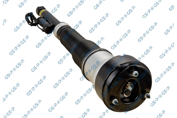 Air Suspension Strut 30900342