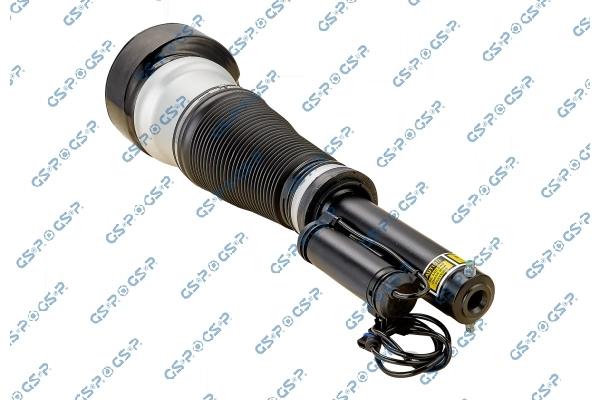 Air Suspension Strut 30900320