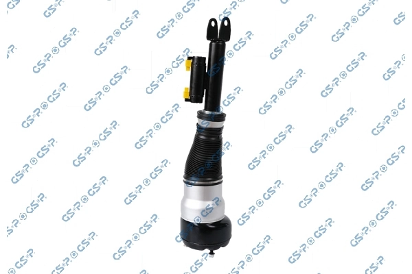 Air Suspension Strut 30900301