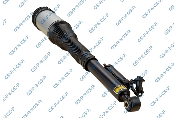 Air Suspension Strut 30900360