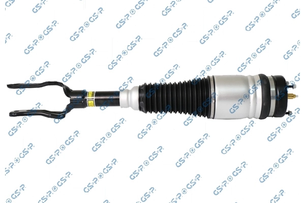 Air Suspension Strut 30900012