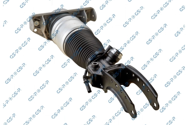 Air Suspension Strut 30900131