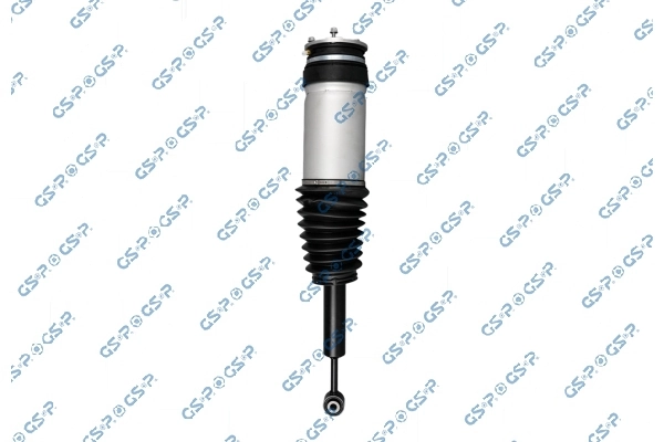 Air Suspension Strut 30901030