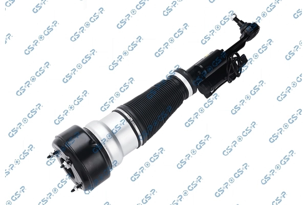 Air Suspension Strut 30900331