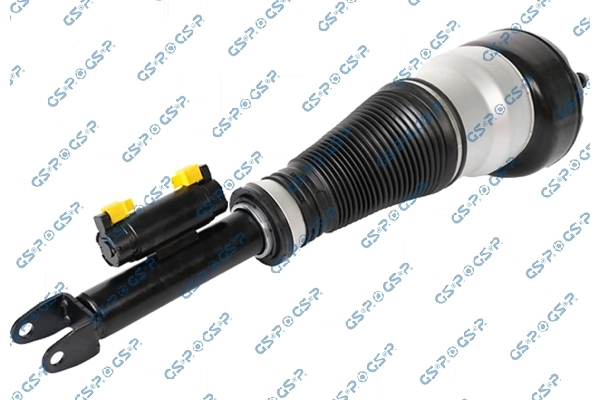 Air Suspension Strut 30900302