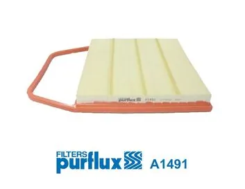 Air Filter A1491